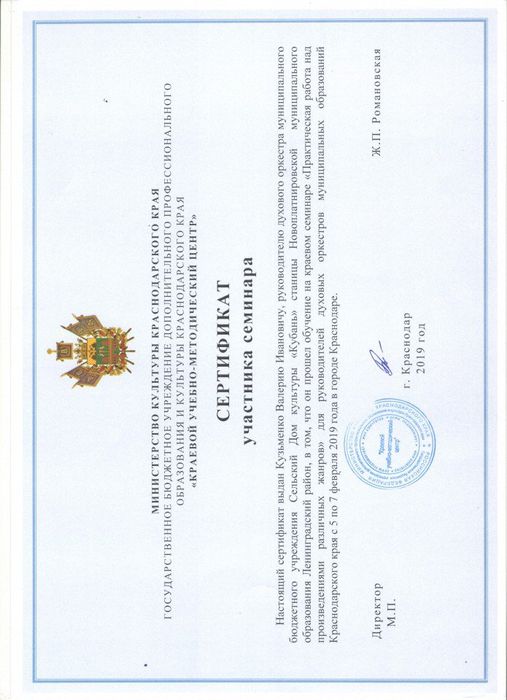 Сертификат участника сетинара 2019